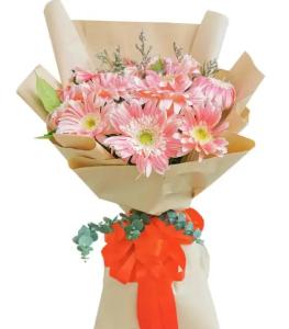 No Gerbera ( Imported ) image