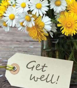 No Get Well Soon Flower Gift image