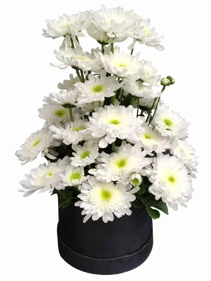 Divine White Radus Standing Spray